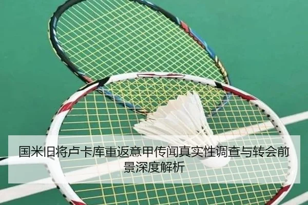 国米旧将卢卡库重返意甲传闻真实性调查与转会前景深度解析